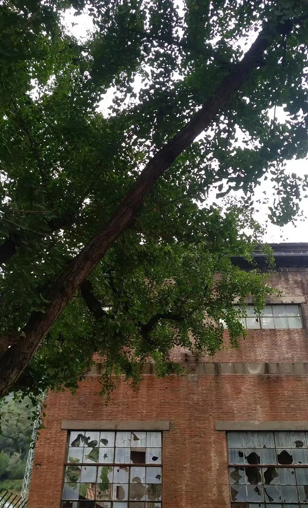 20230429/644d25277fb70.jpg 3.jpg