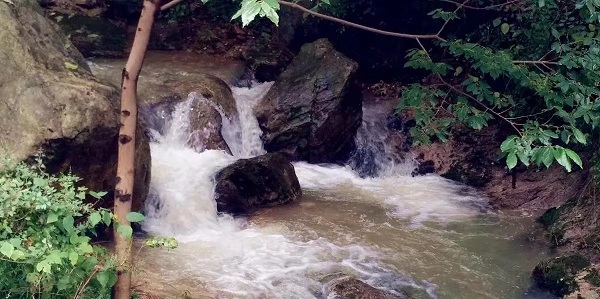 20230429/644d2535bb85b.jpg 4.jpg