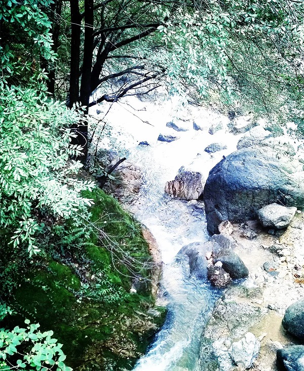 20230429/644d2550ef3a1.jpg 6.jpg