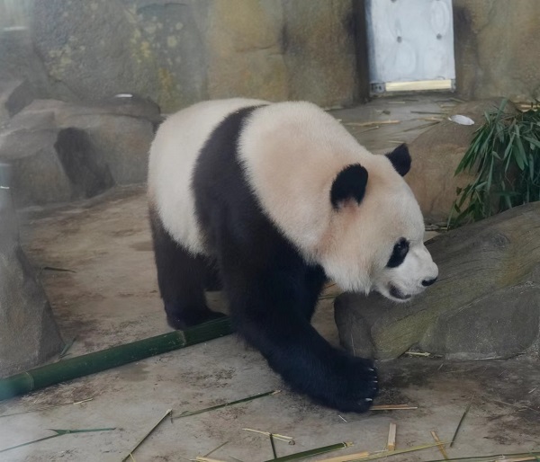 20230623/64955e39f142e.jpg 4.jpg