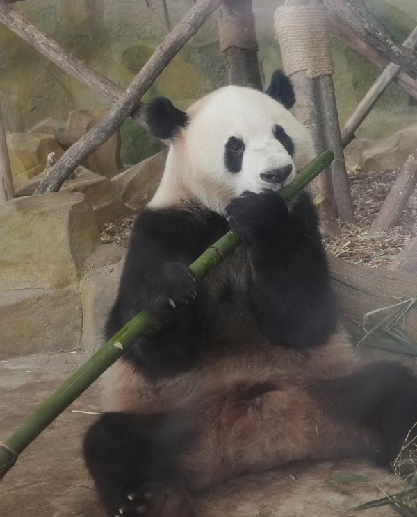 20230623/64955e49494eb.jpg 5.jpg