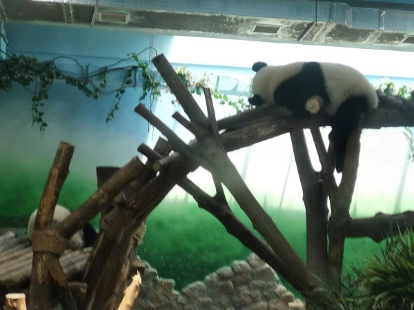 20230623/64955e7f1b072.jpg 6.jpg