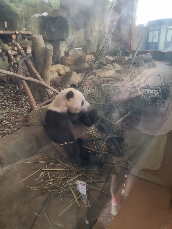 20230623/64955e9930b8c.jpg 7.jpg