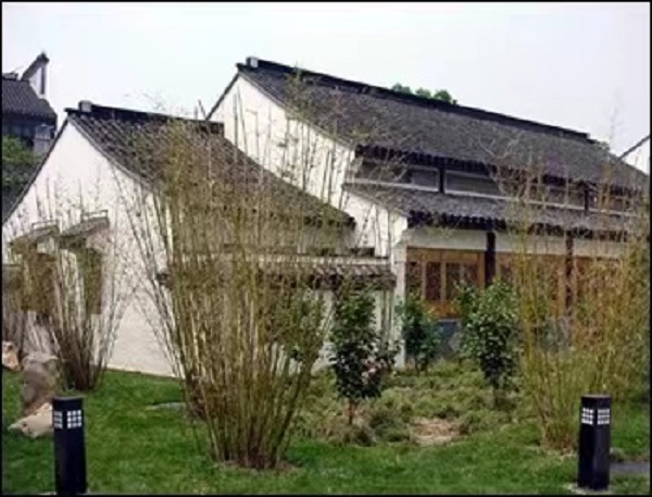 20230706/64a6cd37b16c2.jpg 7.jpg