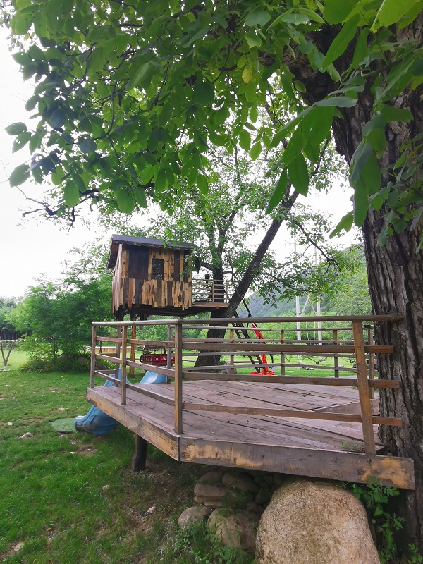 20230714/64b160c09cc23.jpg 7.jpg