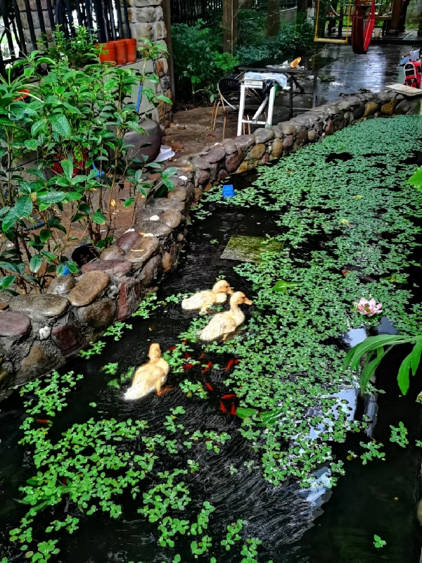 20231116/6555c8cda6497.jpg 987888393_副本.jpg