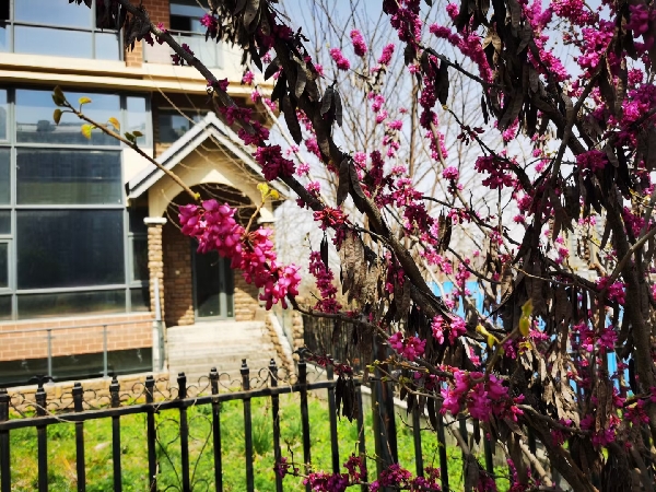 20231116/6555cfaa79339.jpg 1579693350_副本.jpg