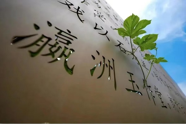 20250227/67c058697c09f.jpg 2.jpg