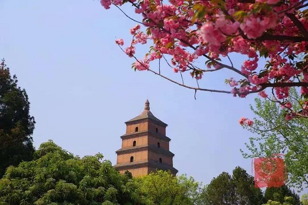 20250322/67dec40dbad6a.jpg 微信图片_20250322214729.jpg